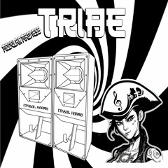 Tribal Karma - Modular Madness (Original Mix)