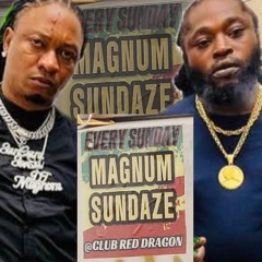 NOTORIOUS INT SOUND "DJ MAGNUM🇬🇾/SEENUP🌏" @MAGNUM SUNDAZE "CLUB RED🚩 DRGAON🐲 10TH AUG,2025.mp3