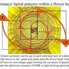 Fibonacci frequencies