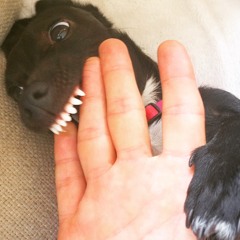 No More Secret Handshakes