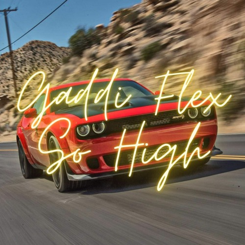 Gaddi Flex So High