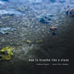 wlr089 Andrew Heath & Anne Chris Bakker - How To Breathe Like A Stone