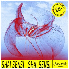 Bazaar 63 || Shai Sensi