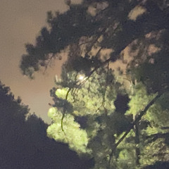 it mustve been my fault what did i do tell me please