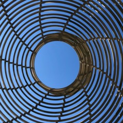 P3LIGR0S0 : BERLIN 2022