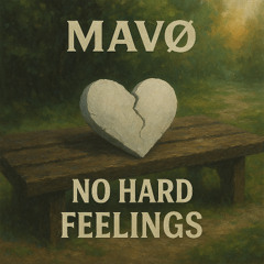 No Hard Feelings