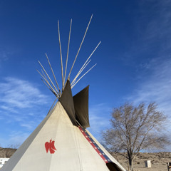 Darnell Johnson Bufflo springs NM