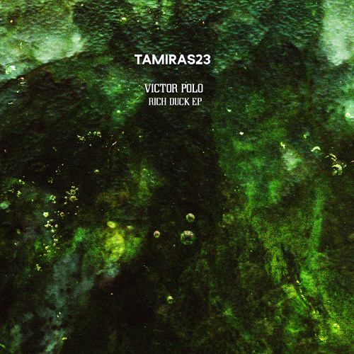 Victor Polo - Rich Duck (D I N Remix)