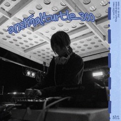 anormalturtle300 — FTC 2025