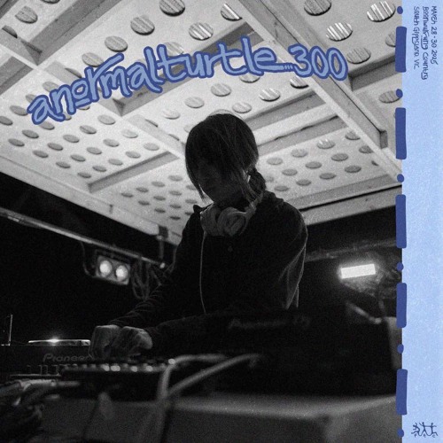 anormalturtle300 — FTC 2025