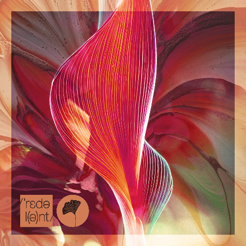 Anorre, ASHER SWISSA - Beza (Original Mix Snippet)