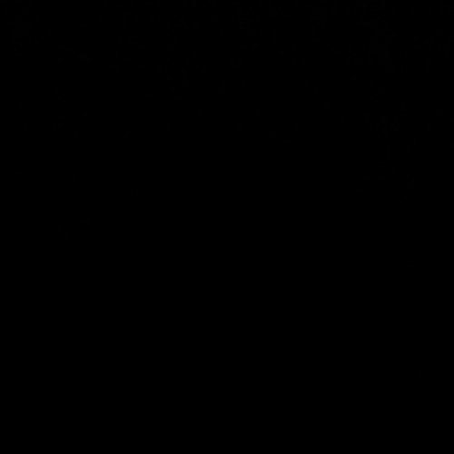 NLE & Sophie Rain unreleased snippet