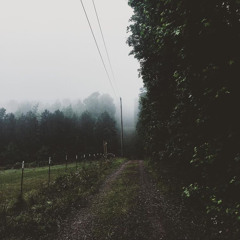 // conan gray ~ heather [slowed] //