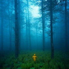 The Forest Cave
