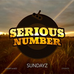 Serious Number - Serious Questions (Original Mix)