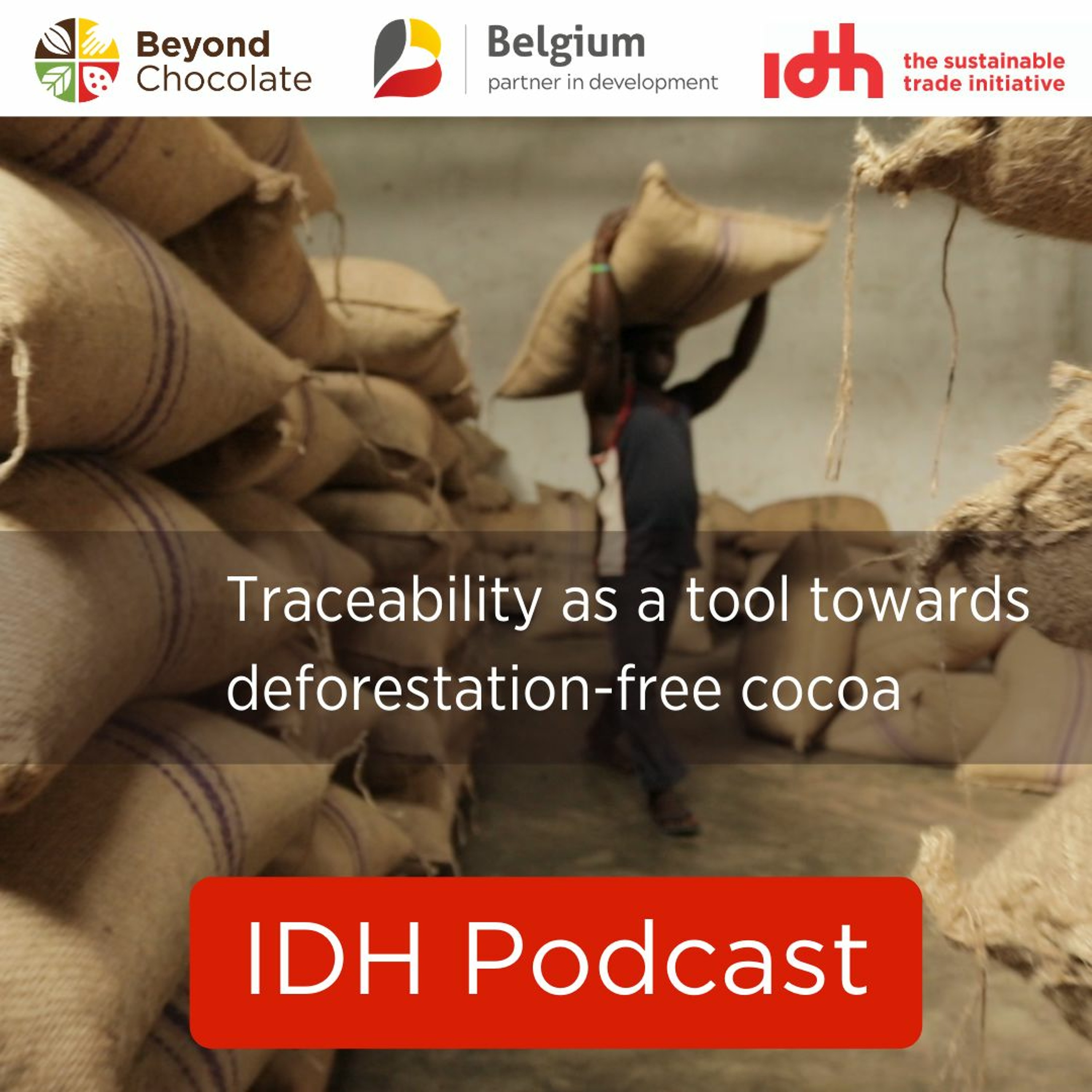 IDH Podcasts