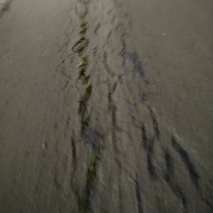 TECTONICS