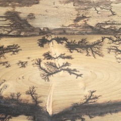 Downward Bound