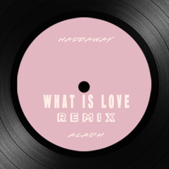Haddaway - What is Love (ALADH-Remix)