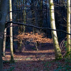 Can Fear Become Gold