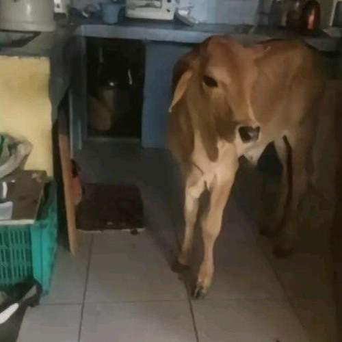 Stream DOOM Eternal (OST) Meathook [ BASS BOOSTED ] by Mason Listen