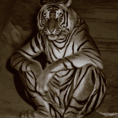 TRUST ISSUES CHAVI ( REMIX )