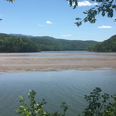 Quarantunes House Style