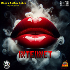 BizzyDaBachelor - Internet (Story Book Riddim)