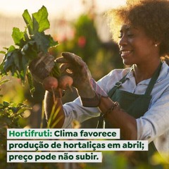 Hortifruti: Clima favorece produção de hortaliças em abril; preço pode não subir