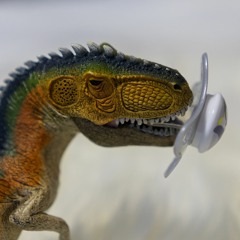 Dinosaur Of Today
