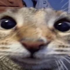 Trap Beat - 140 BPM - Prod Ynishen x Atto Pilot