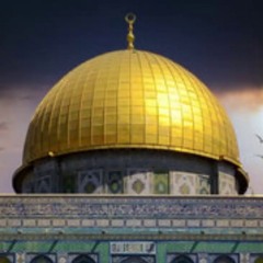 لا بد من تربية النفس وإعدادها لذلك - د. محمد خير الشعال