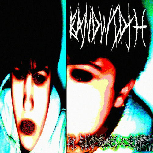 arloo - Bandwidth w Guap Sensei and Semtexxx (PROD. SLXUGHTER)