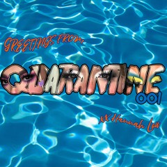 Greetings From Quarantine 001