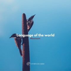 Language Of The World