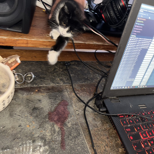 metha ✚ lokman ✚ kuro