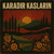Artwork for Karadır Kaşların