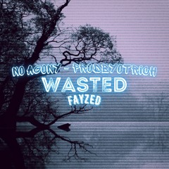 WASTED - (Prod. FAYZED x NO AGONY x PRODBYOTRICH)