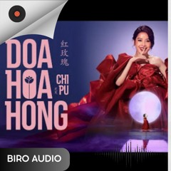 Chi Pu - Đoá Hoa Hồng 红玫瑰  Chengfeng 2023 Version