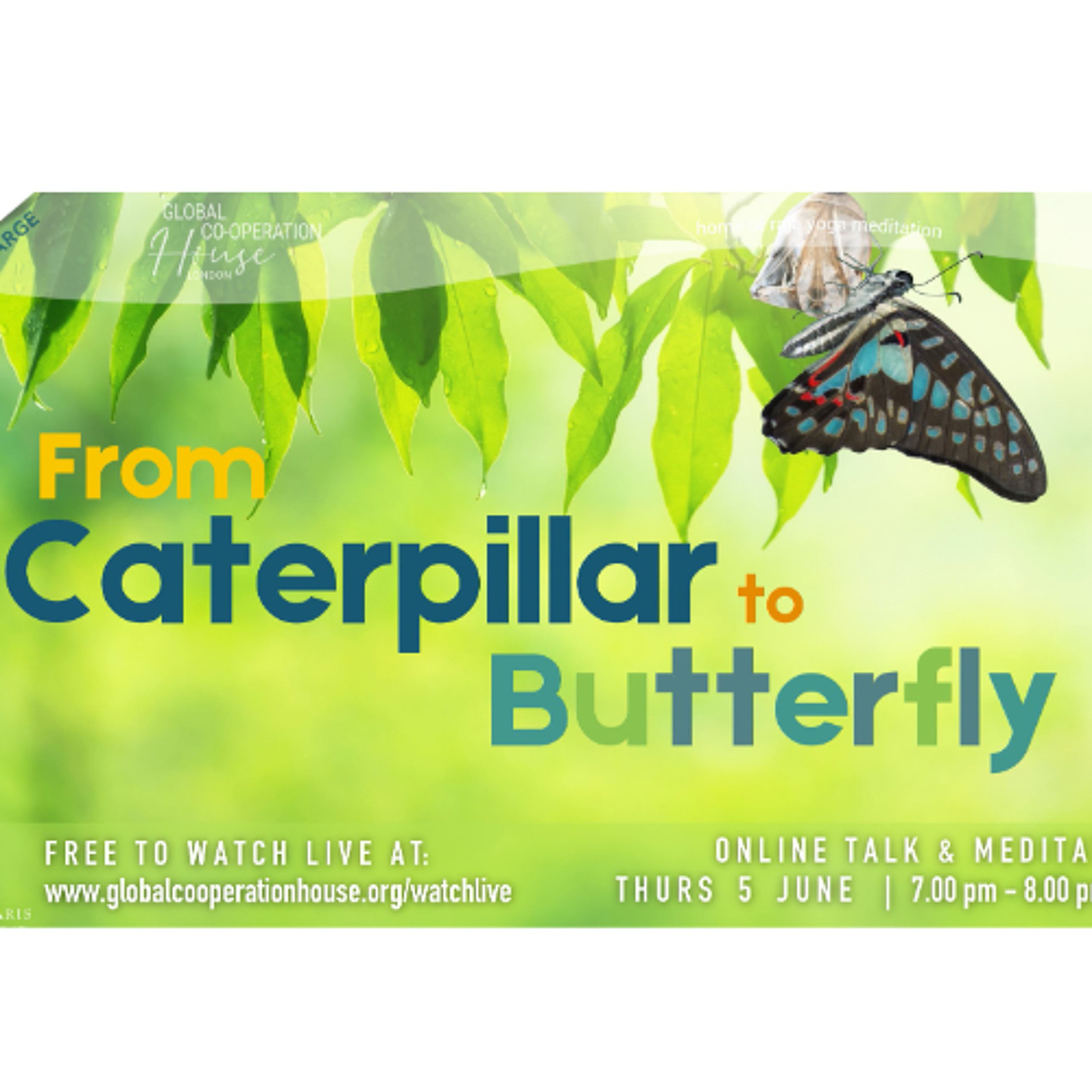 From Caterpillar to Butterfly - Suman Kalra  - Thursday 5th June 2025 episode artwork