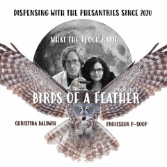 War (Birds of a Feather EP22)