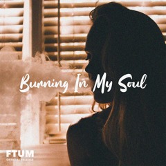 Luke Bergs - Burning In My Soul [FTUM Release] · Deep House Background Music