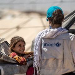 Navigating Intercultural Challenges in Partnerships: Lessons from Local NGOs in the MENA Region