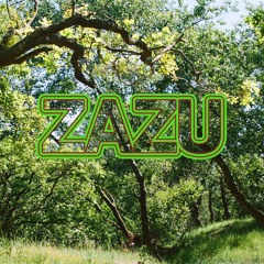 ZAZU at Loophole 21-06-2025
