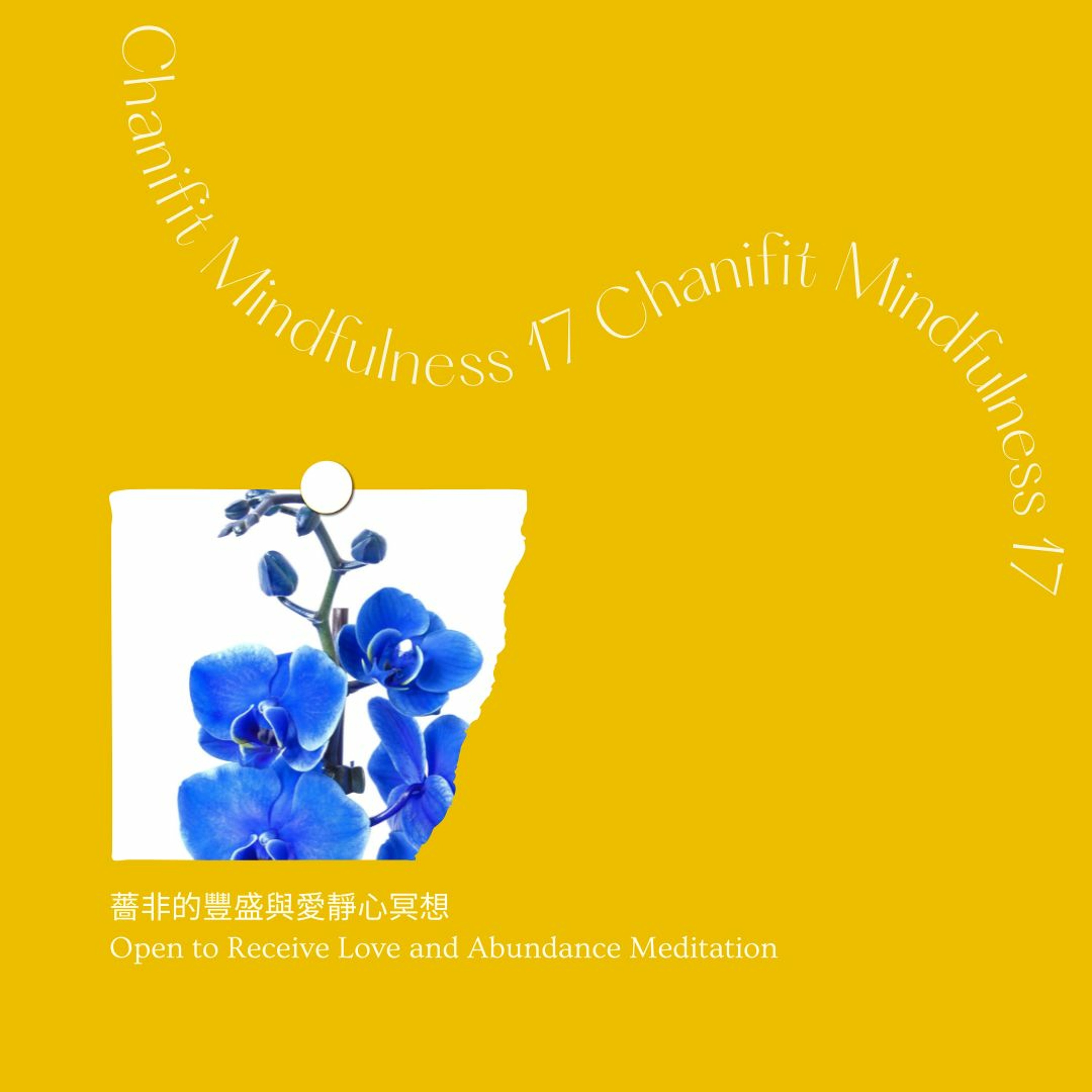 Meditation 17|薔非的豐盛與愛靜心冥想 Chanifit Open to Receive Love and Abundance Meditation