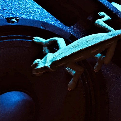 Rolln Gecko