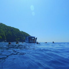 Similan & Surin Liveaboard Diving Adventures