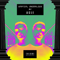 AGLE - Spatial Anomalies - May 2025