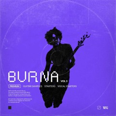 Burna Vol. 3 Preview