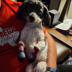 DLR - Words Are Rough (feat. Dr. Deimos) MasterTest4.wav